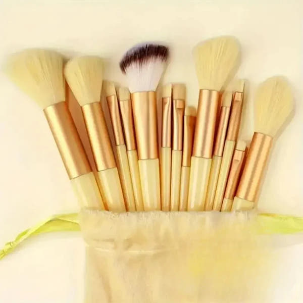 Professional Brush Set