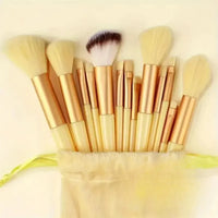 Professional Brush Set